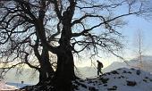 ZUC DI VALBONA - I CANTI - TRE FAGGI - FOTOGALLERY